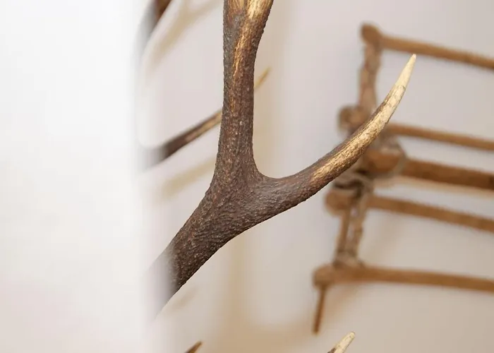 Casa vacanze Kaeferhof Apartment With View